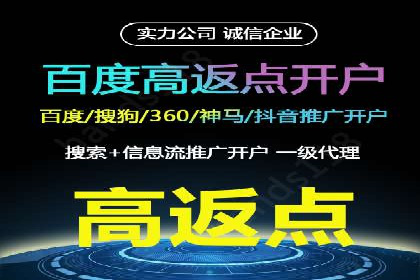 竞价广告的智能投放：XX平台的创新实践