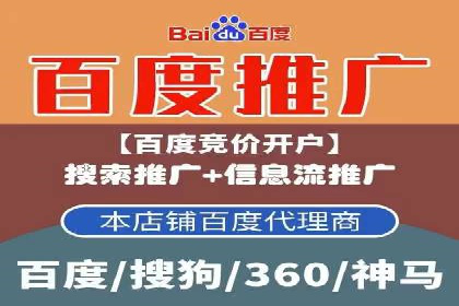 成功案例：sem竞价托管的智慧与策略